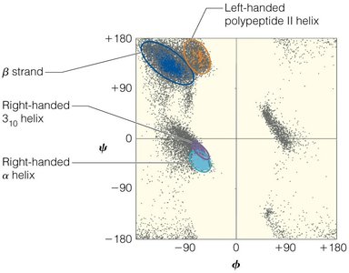 Ranges of allowed phi and psi angles for secondary structures
