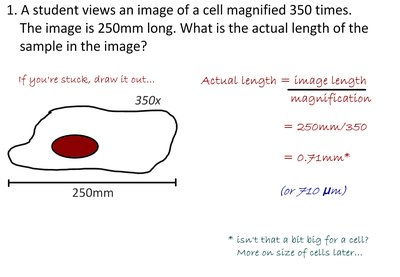 Magnification calculation example