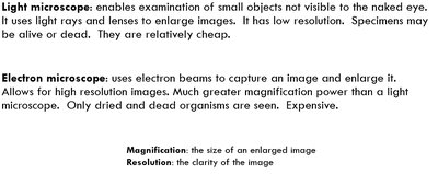 Freeze fracture electron micrograph