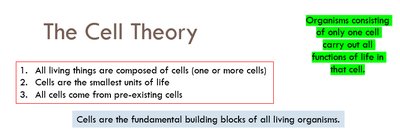 Cell theory summary slide