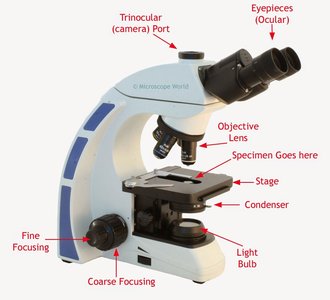 Labeled microscope diagram