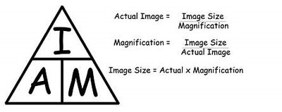 Magnification formula triangle