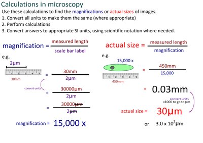 Microscopy calculations example