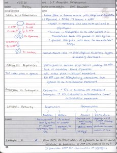 Lactic acid fermentation pathway diagram