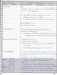 ATP synthase diagram