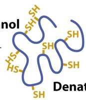 Coomassie-stained SDS-PAGE gel with protein bands