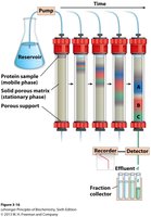 Column chromatography process with fraction collection