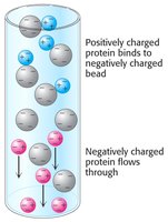 Ion exchange chromatography fractionation in test tubes