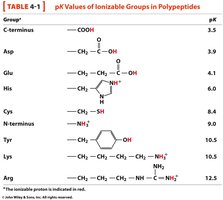 Table of pKa values for ionizable groups in polypeptides