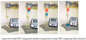 SEC chromatogram showing protein bands