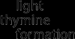 Photoreactivation of thymine dimers