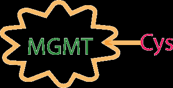 MGMT enzyme direct repair