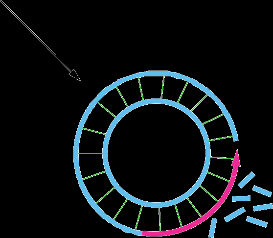Rolling-circle replication with Okazaki fragments