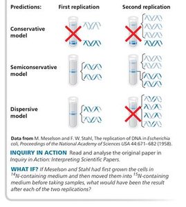 Predictions of conservative, semiconservative, and dispersive models