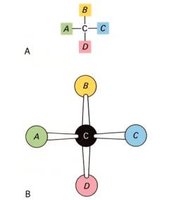 Fischer and tetrahedral representations of a chiral carbon, illustrating stereoisomerism in monosaccharides