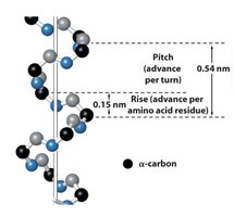 Pitch and rise of an alpha helix