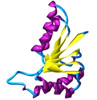Tertiary structure of a protein
