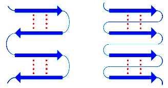 Antiparallel and parallel beta sheet diagrams
