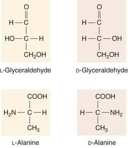 L- and D- forms of amino acids and glyceraldehyde
