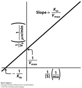 Lineweaver-Burk plot