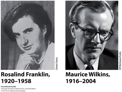 Watson-Crick base pairing distances