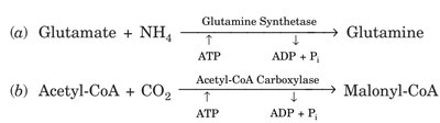 Ligase reactions
