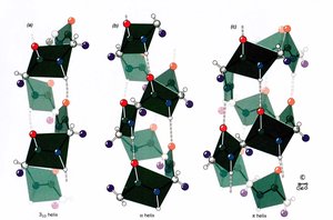 Comparison of 310, alpha, and pi helices