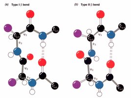 Type I and Type II beta bends