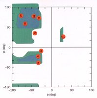 Ramachandran plot for poly-L-alanine