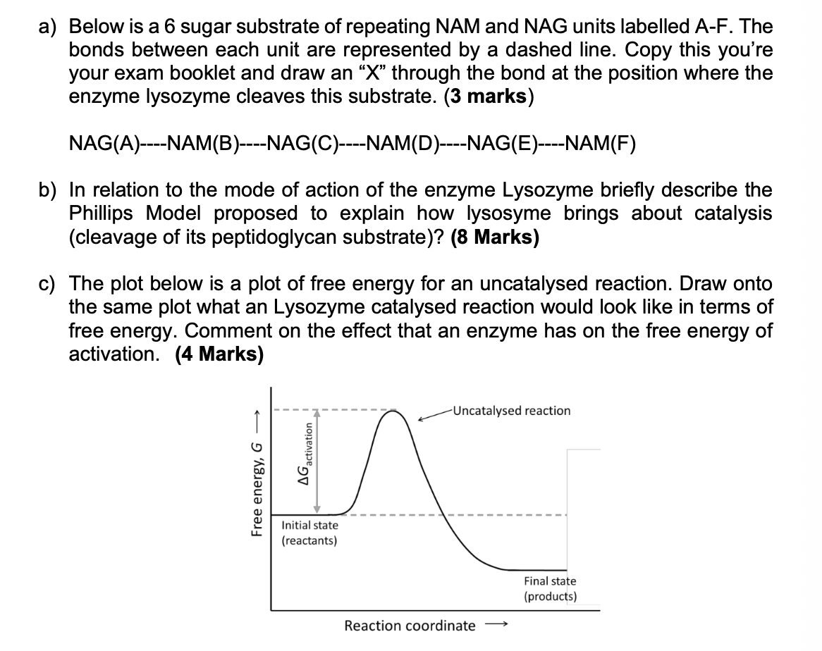 Free energy diagram for uncatalysed and catalysed reactions