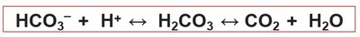 Carbonic acid-bicarbonate buffer system equation