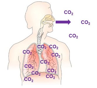 Carbonic acid-bicarbonate buffer system equation