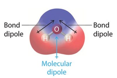 Hydrogen bonding between water molecules
