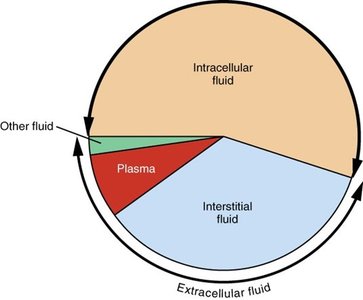 Pie chart of body fluid compartments