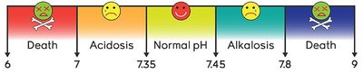 pH scale with physiological ranges