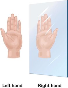 Chirality illustrated by left and right hands