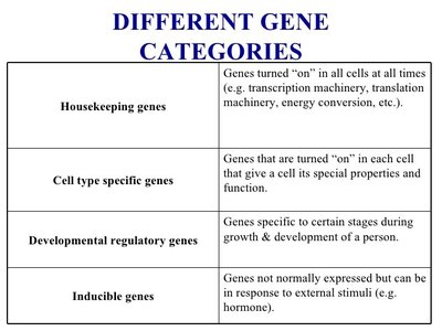 Different gene categories