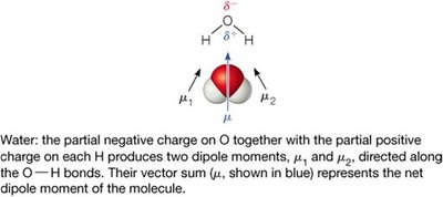Water dipole moment