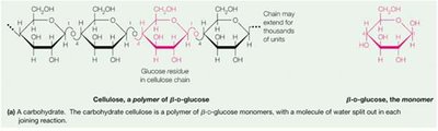 Cellulose polymer and glucose monomer