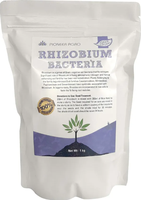Agricultural application: Rhizobium bacteria