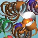 Different ways to view protein tertiary structure