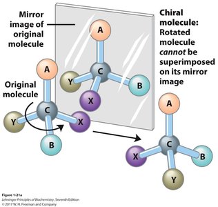 Chiral molecule and its mirror image
