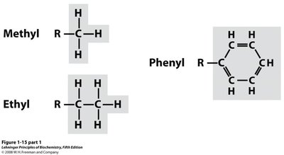 Hydrocarbon functional groups