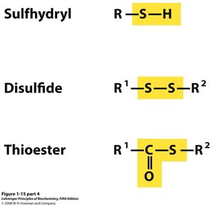 Sulfur functional groups