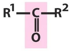 Functional groups in biomolecules