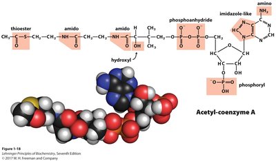 Carboxylic acid table