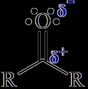 Carbonyl group polarity