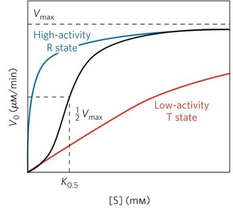 Substrate-activity curve for allosteric enzyme