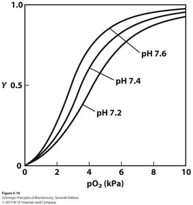 Effect of pH on oxygen binding to hemoglobin