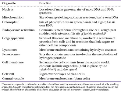 Summary table of organelles and their functions